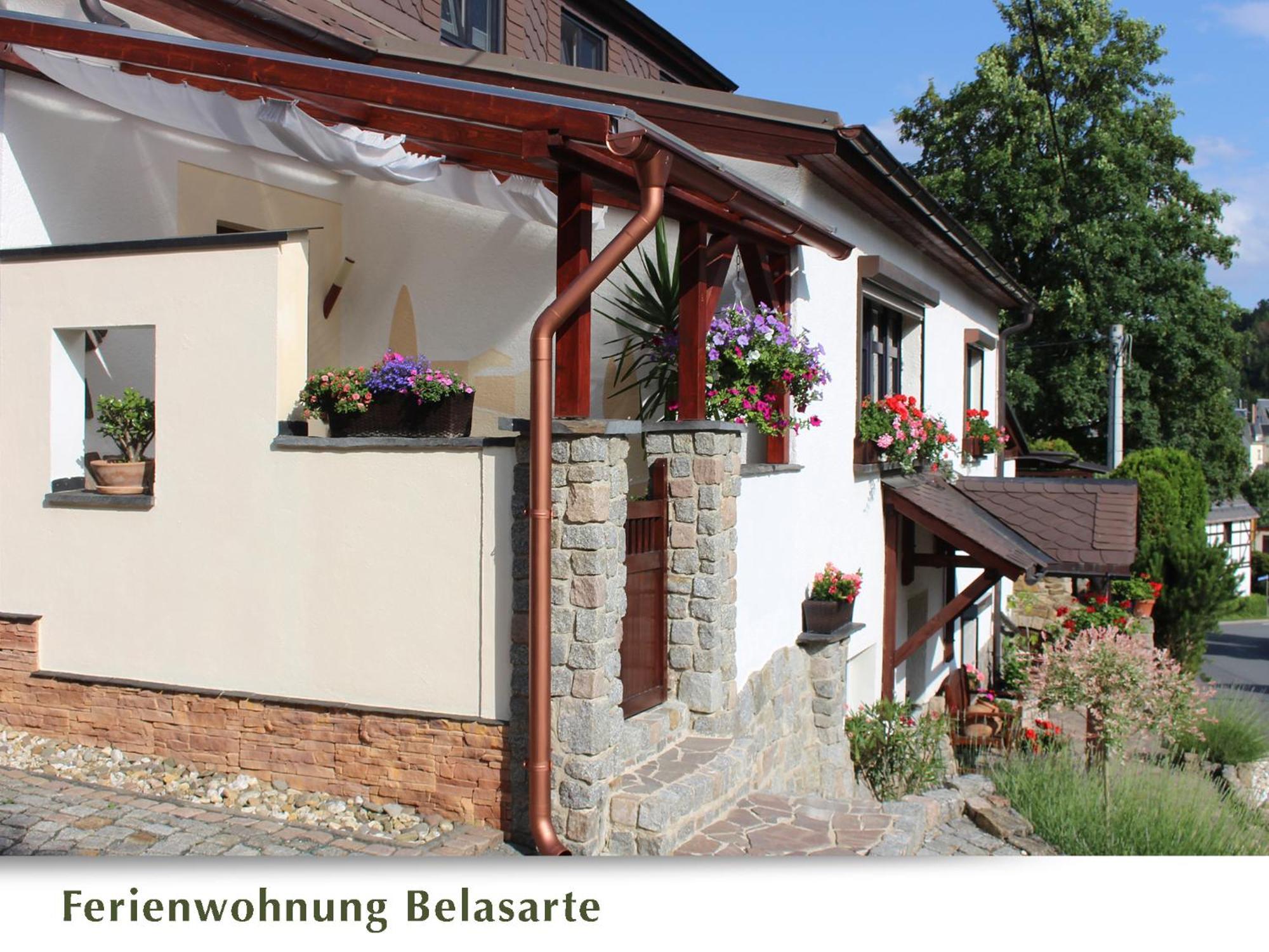 Ferienwohnung Belasarte Bad Elster Εξωτερικό φωτογραφία